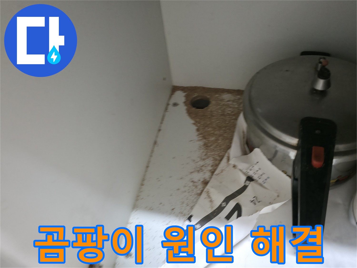 싱크대 밑 - 톱밥 - 방치 금지 - 빠른 해결 필수