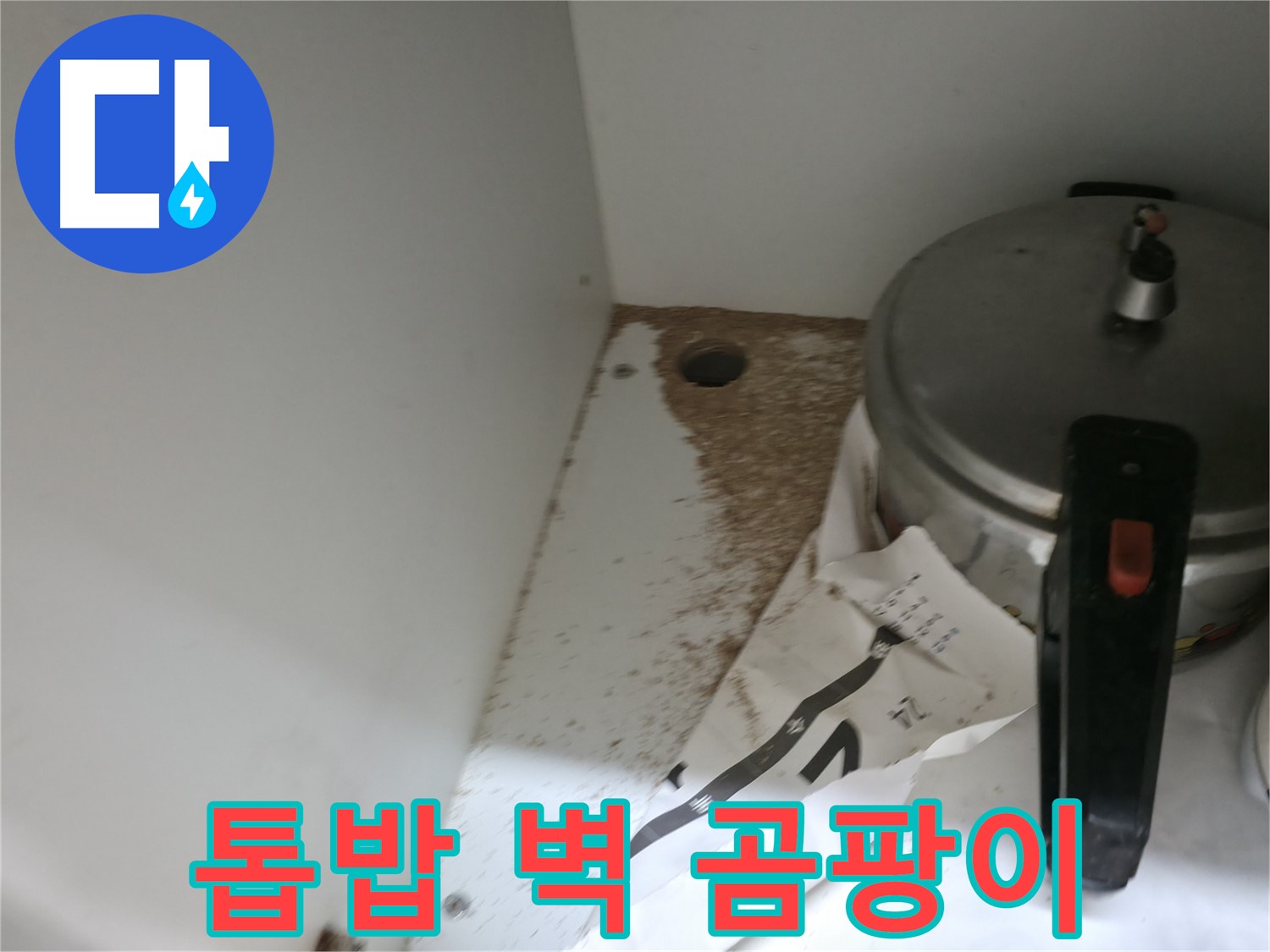 싱크대 밑 - 톱밥 - 누수 의심 - 초기 점검 중요