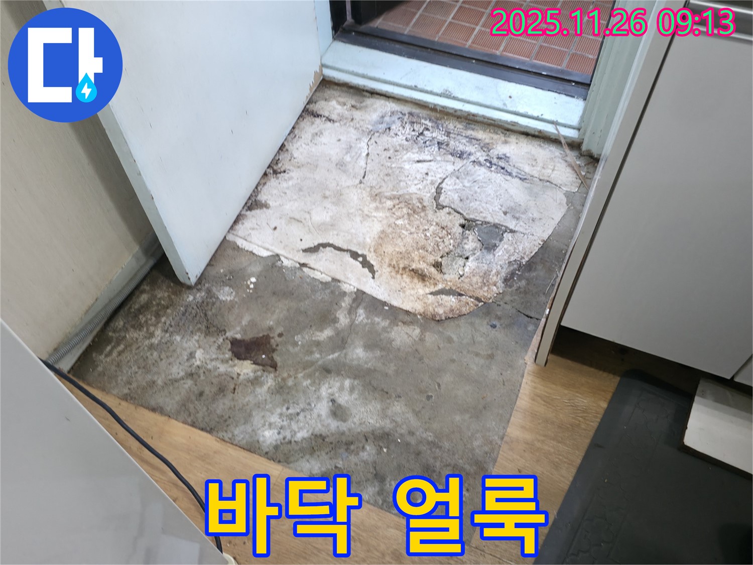 서초2동 현관 바닥 얼룩덜룩 - 누수와 곰팡이 의심, 쾌적한 현관 되찾기