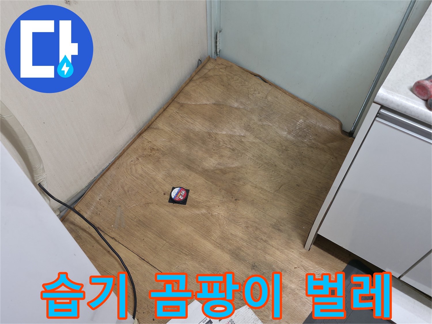 서초구 방배2동 누수 - 습기, 곰팡이, 악취, 벌레는 누수 긴급 점검 신호 - 즉시 연락 주세요!