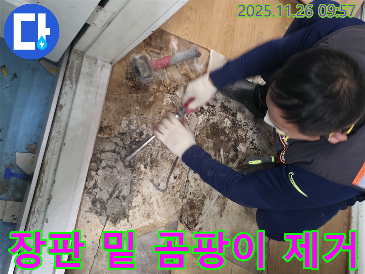 서초구 서초2동 명달로 장판 밑 곰팡이 제거 - 장판 아래 심각하게 번식한 곰팡이를 제거하는 모습입니다.
