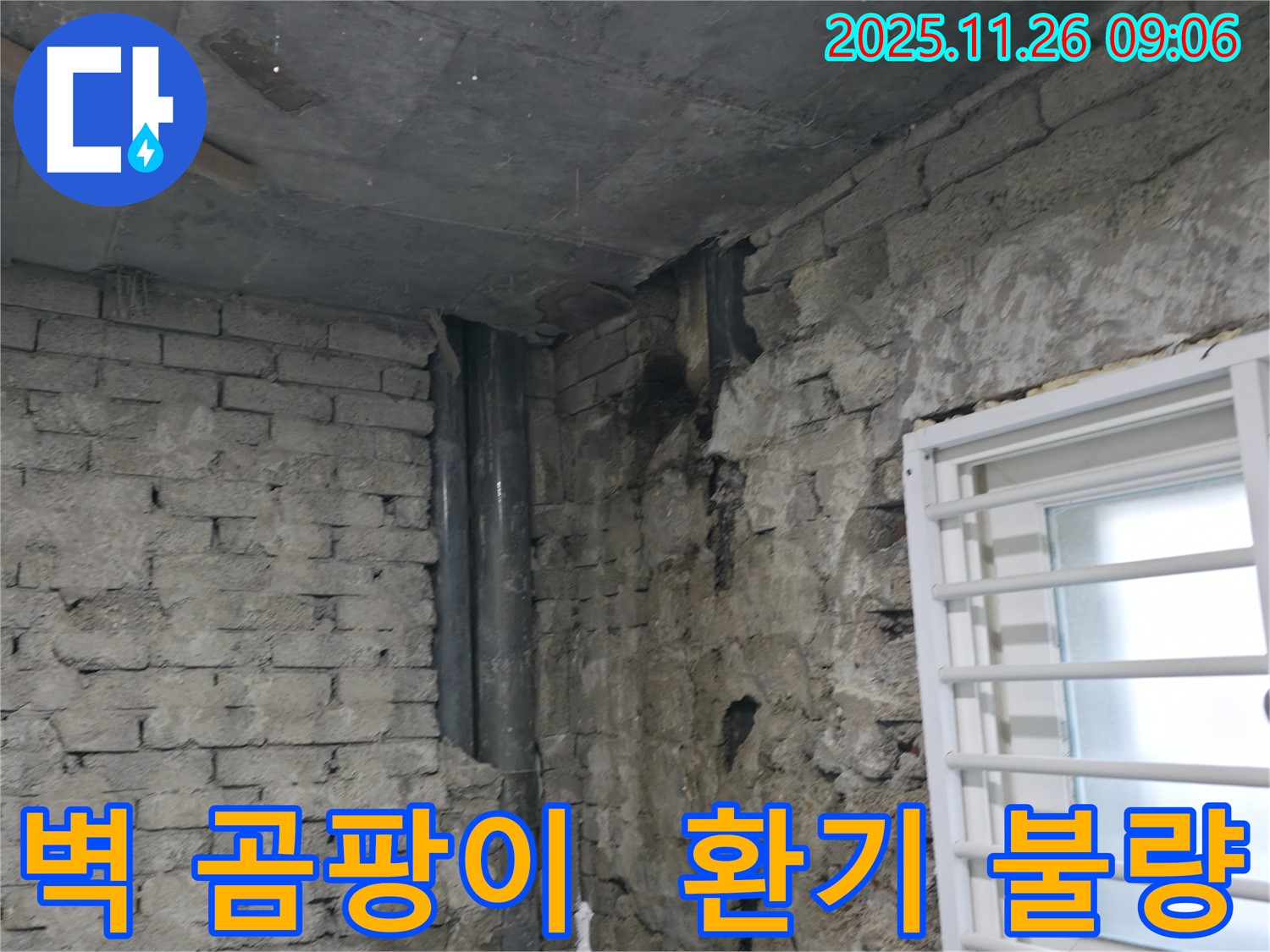 서초구 서초동 - 건물 벽 곰팡이 - 숨겨진 누수와 환기 불량의 합작 - 곰팡이 발생 원인