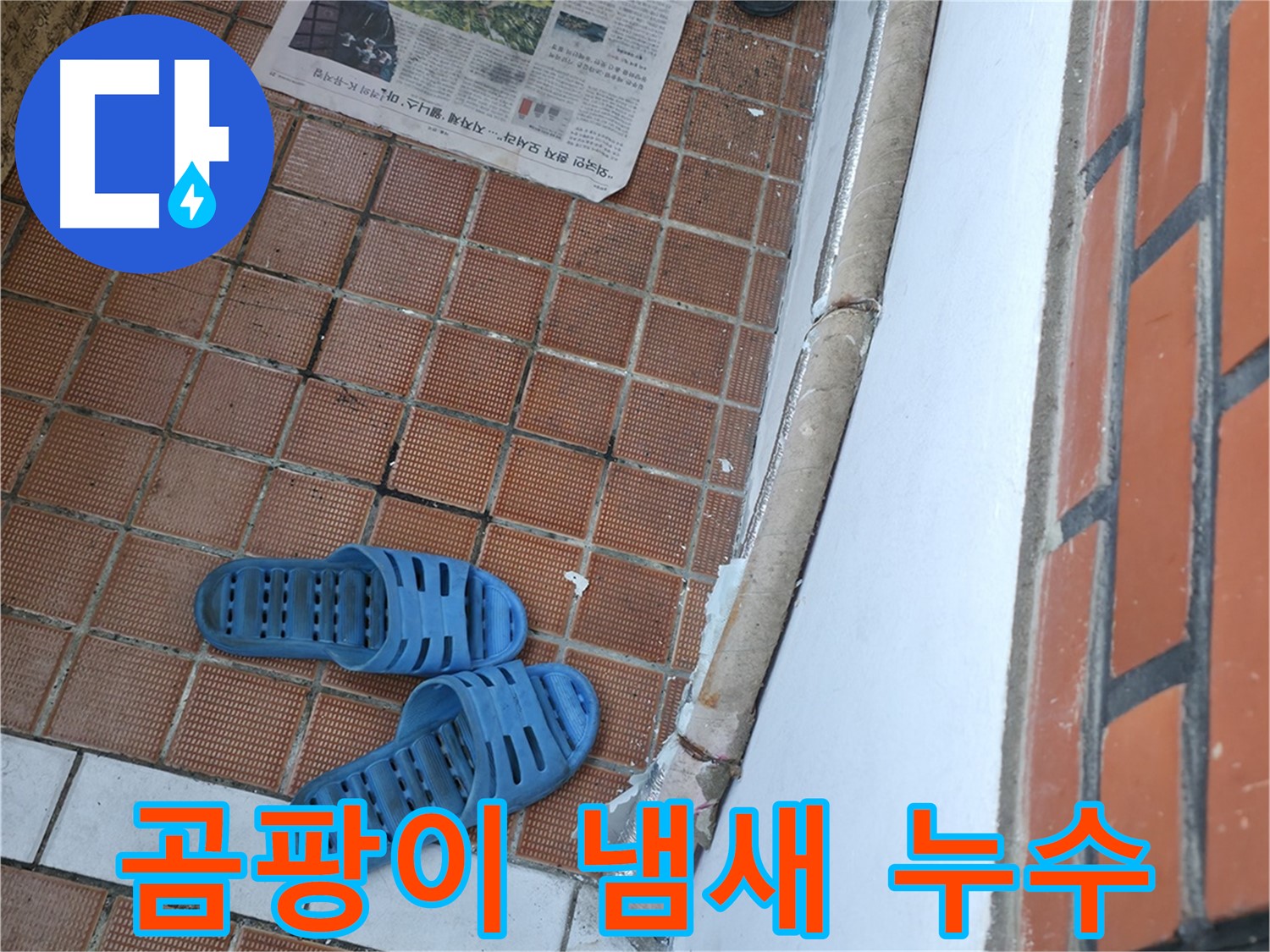 서초구 서초동 누수 - 현관 바닥에서 곰팡이 냄새가 난다면 누수와 곰팡이 문제를 동시에 해결해야 합니다