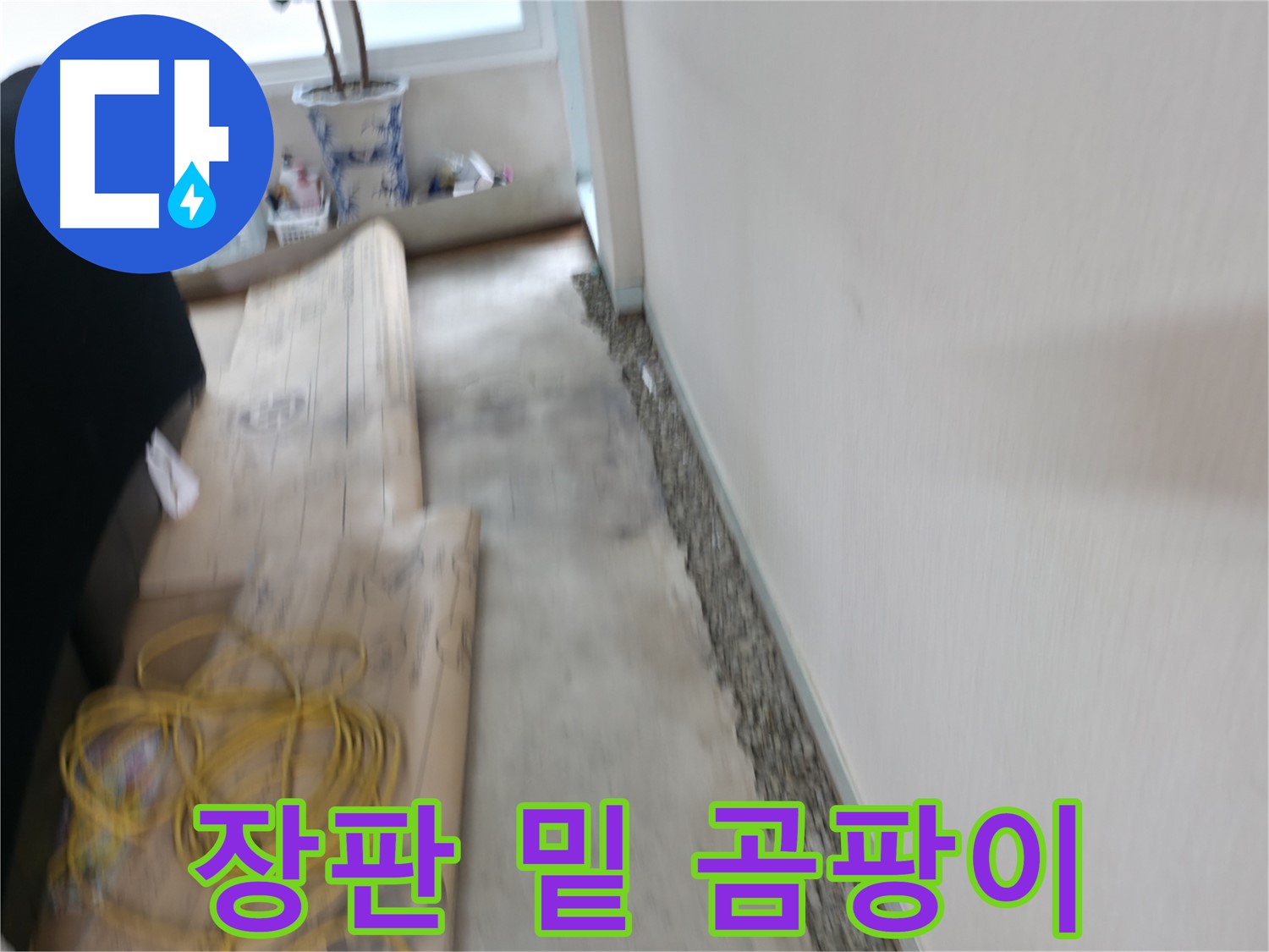 서초구 서초동 누수 현장 - 장판 밑 곰팡이와 냄새 문제를 해결하는 과정 이미지입니다.