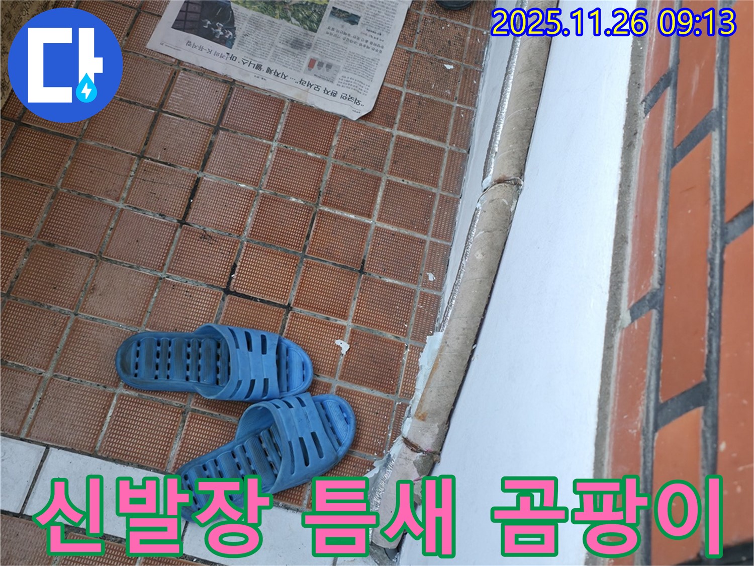 서초구 서초동 누수 현장 - 현관 앞 신발장 하단 틈새로 인한 습기 및 곰팡이 발생