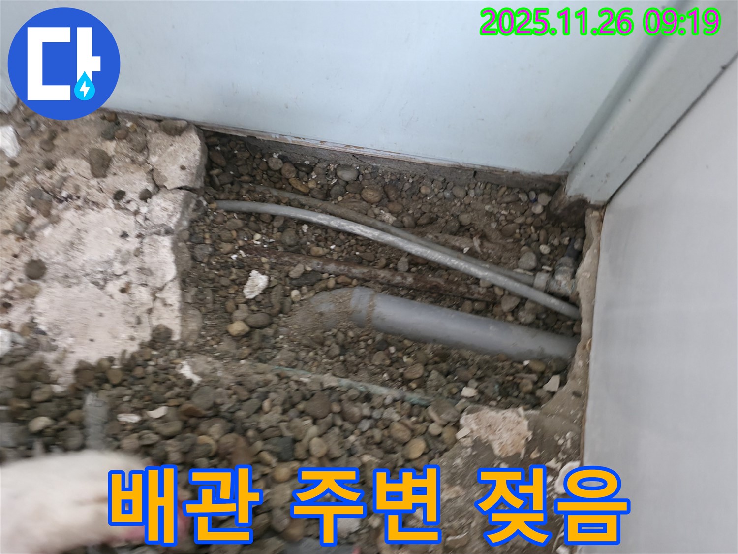 서초동 누수 현장 - 배관 주변의 젖은 상태를 확인하여 누수 지점을 찾고 있습니다.