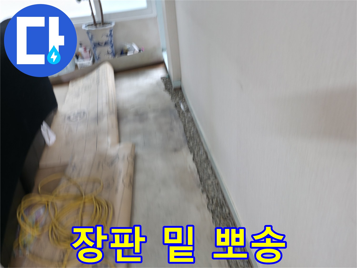 서초동 명달로4길 장판 밑 습기 제거 - 누수 잡고 뽀송하게!