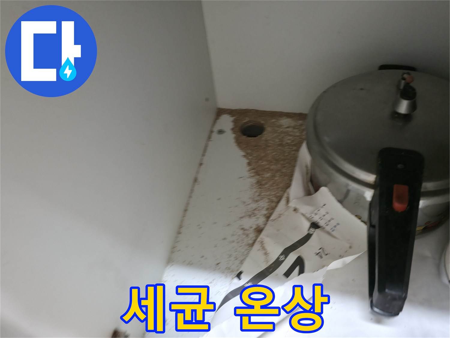 싱크대 밑 - 톱밥 - 곰팡이 서식 - 세균 번식