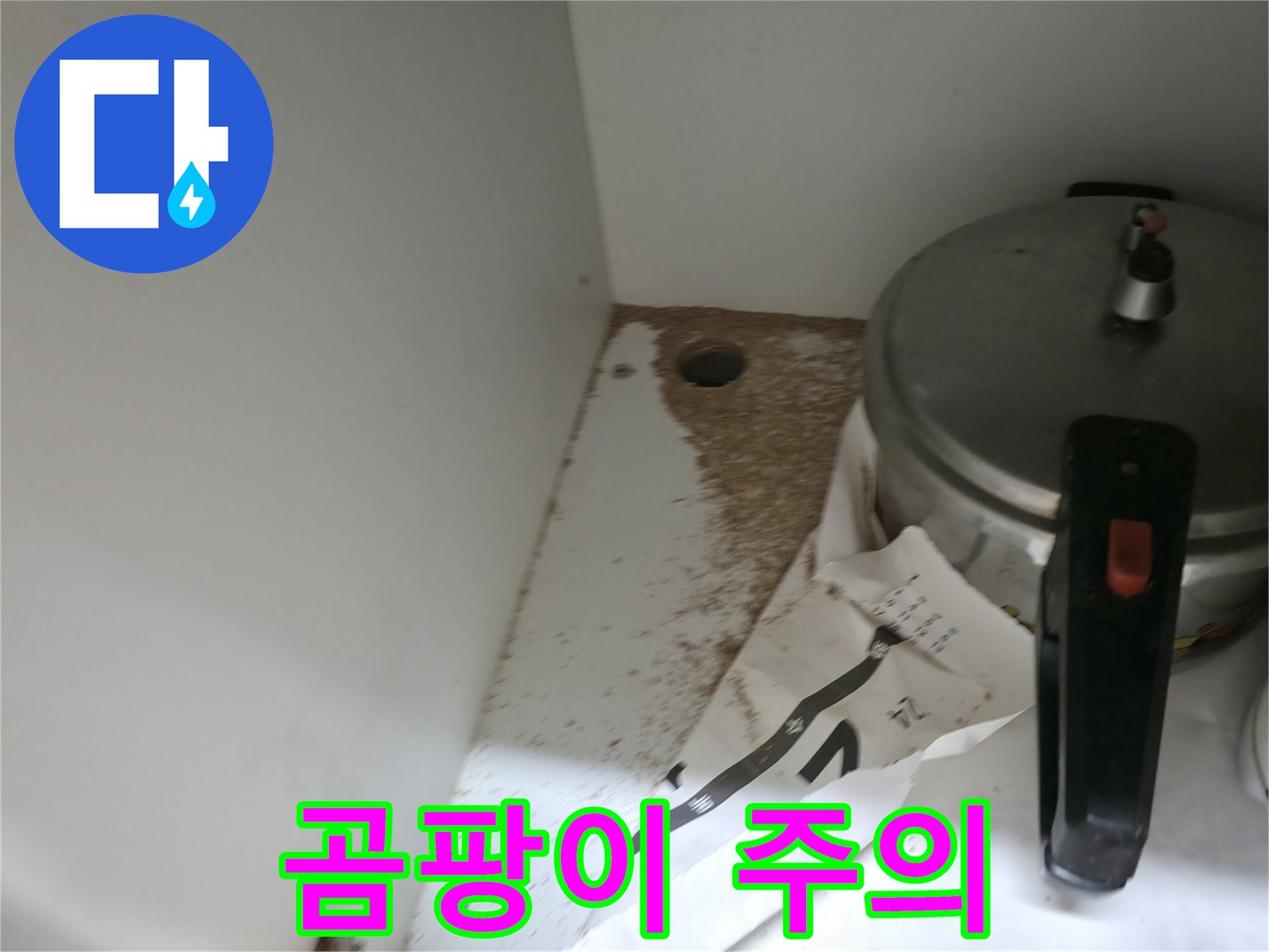 싱크대 하부 - 톱밥 - 곰팡이 주의 - 건강 위협