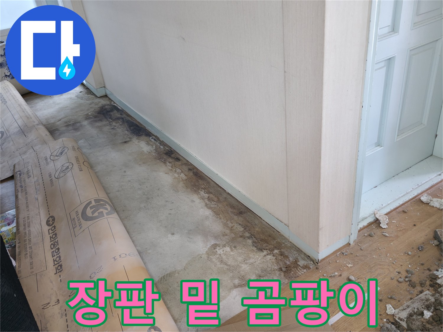 양재동 누수 현장 - 장판 밑에 곰팡이가 심하게 번식한 모습입니다.