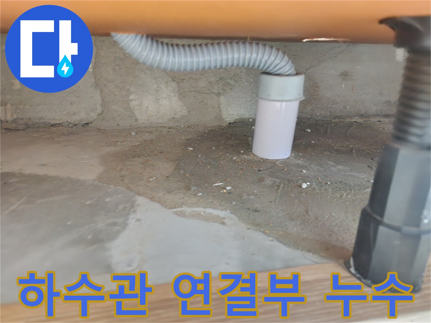 공릉동 아파트 하부장 하수관 연결부 누수 - 문제 해결 과정 상세 공개