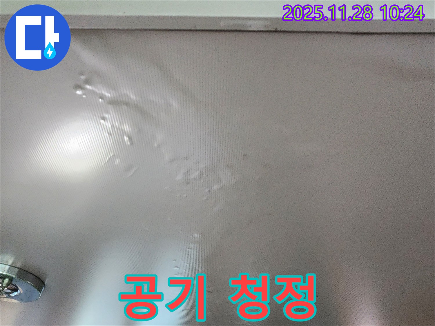 곰팡이 핀 벽 - 공기청정기가 냄새 제거에 효과가 있을까요?