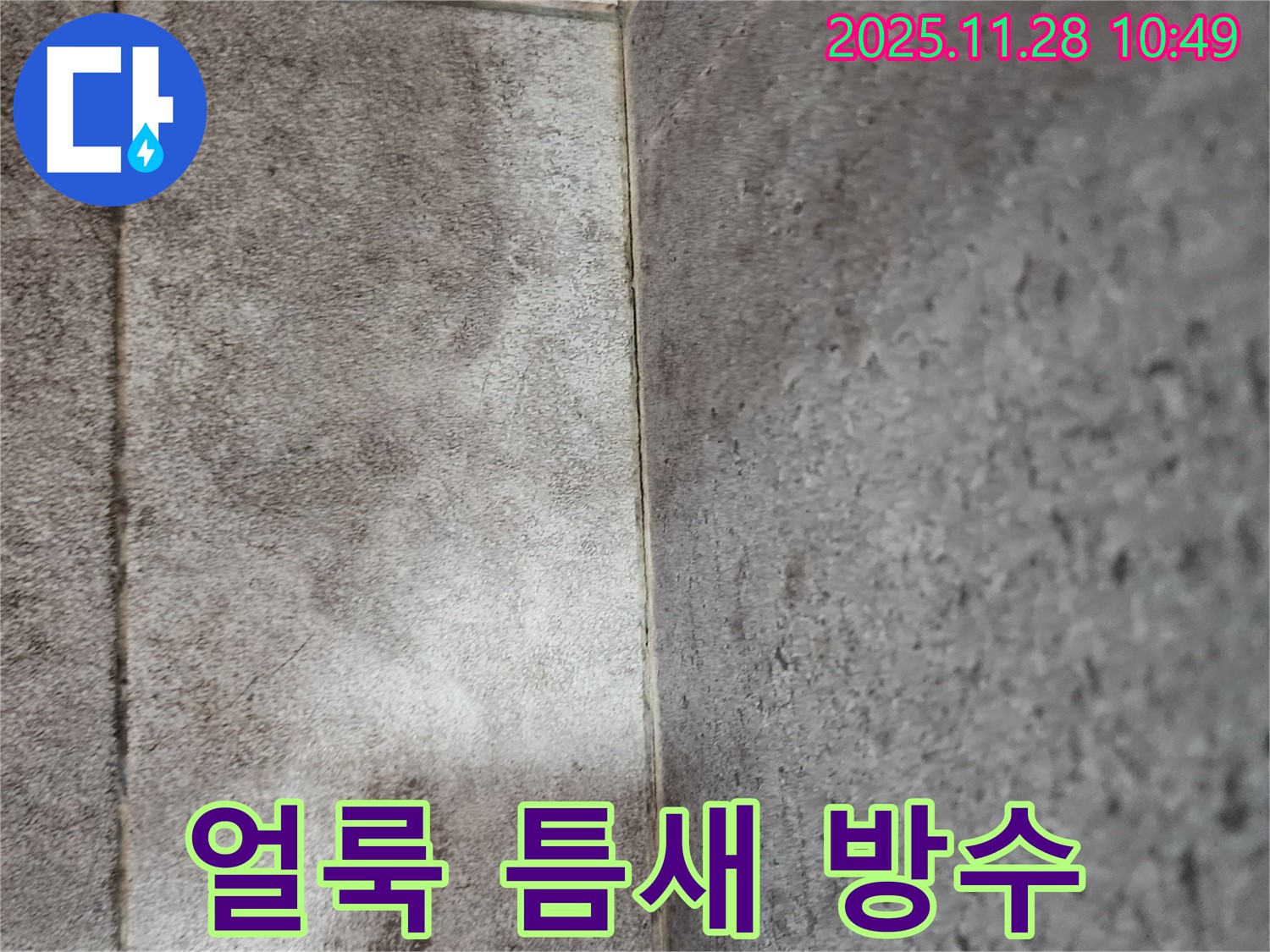 금동리 욕실 누수 - 곰팡이와 물때로 얼룩진 욕실 타일 틈새 곰팡이 제거 후 틈새 방수 코팅으로 오랫동안 깔끔하게!