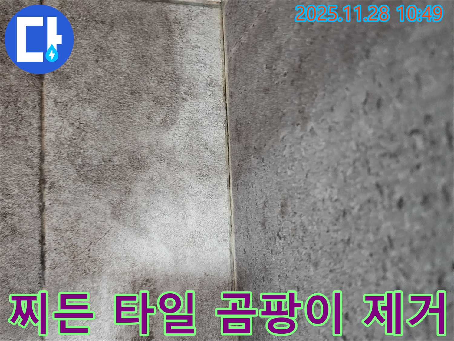 금동리 욕실 누수 - 곰팡이와 물때로 찌든 욕실 타일 곰팡이 제거로 말끔하게!