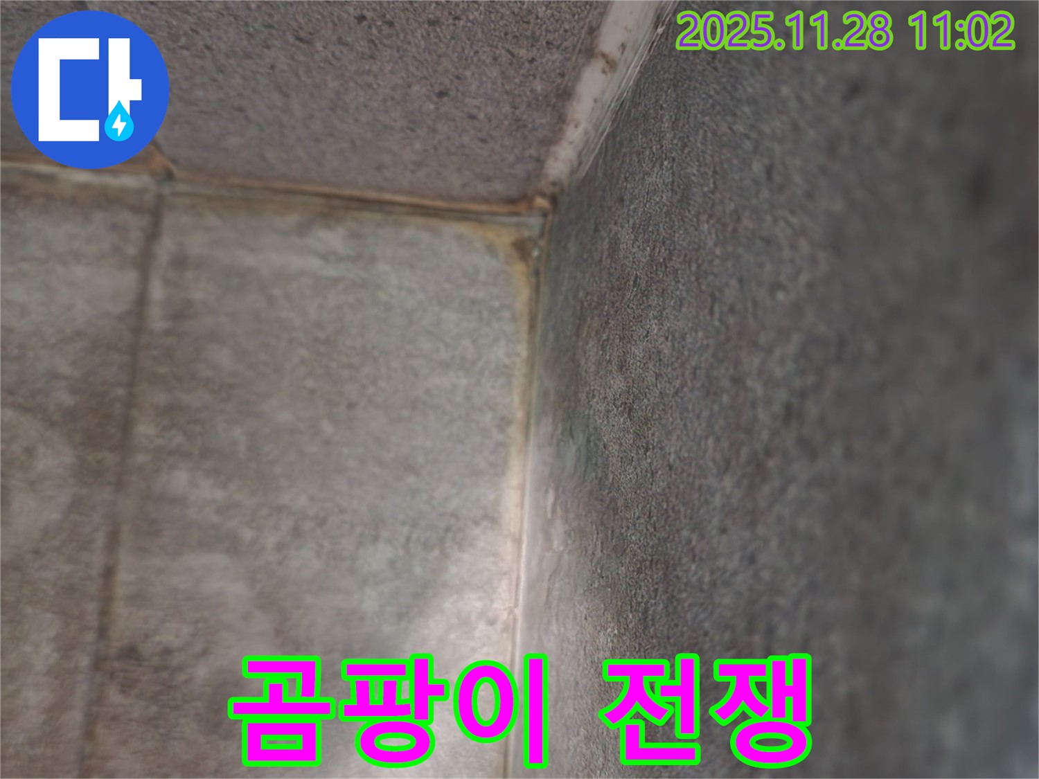 금동리 욕실 누수 - 천장 곰팡이 전쟁, 깨끗한 승리