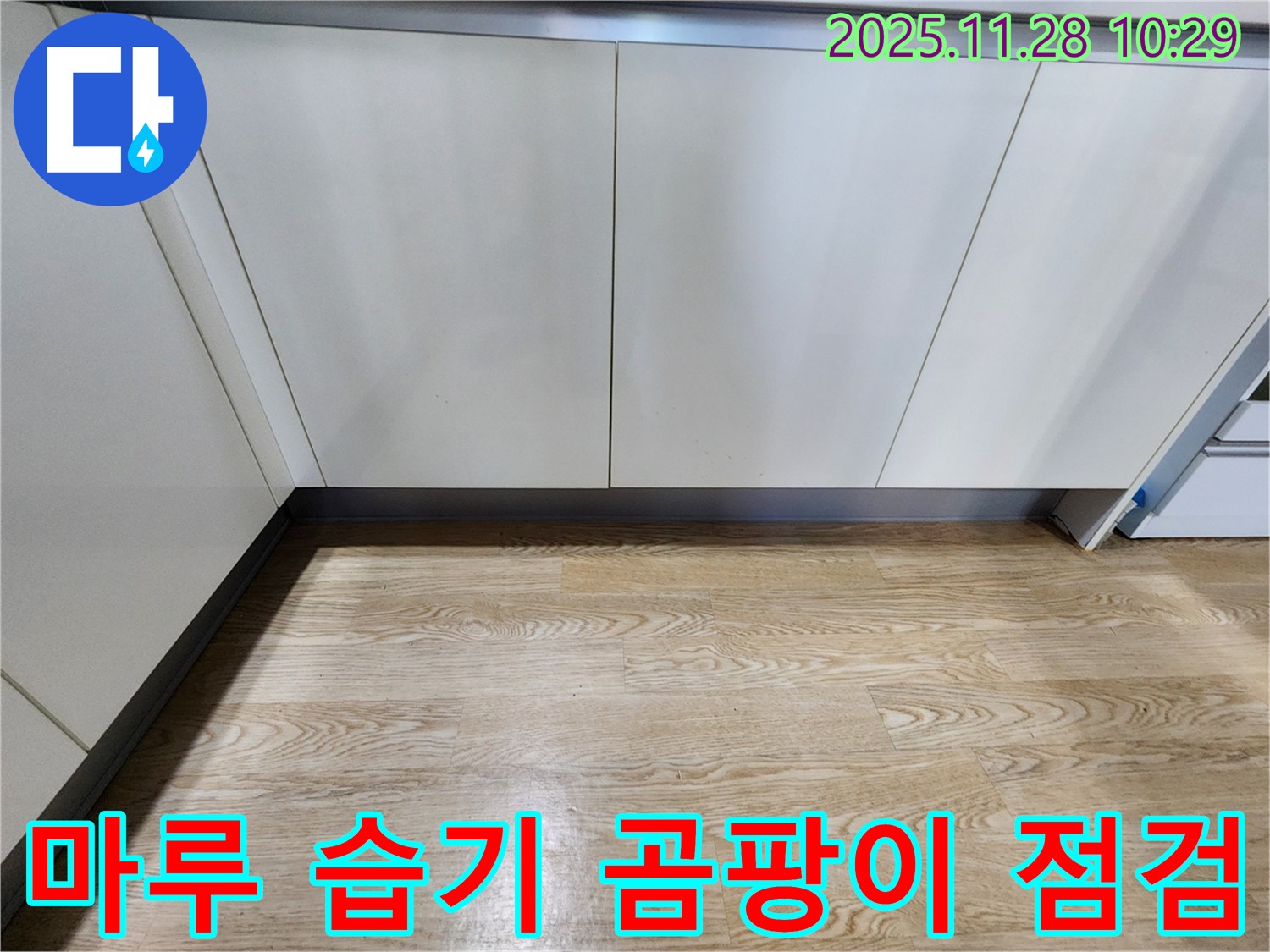 마루 습기 곰팡이 점검 - 곰팡이 초기 증상, 놓치지 마세요!