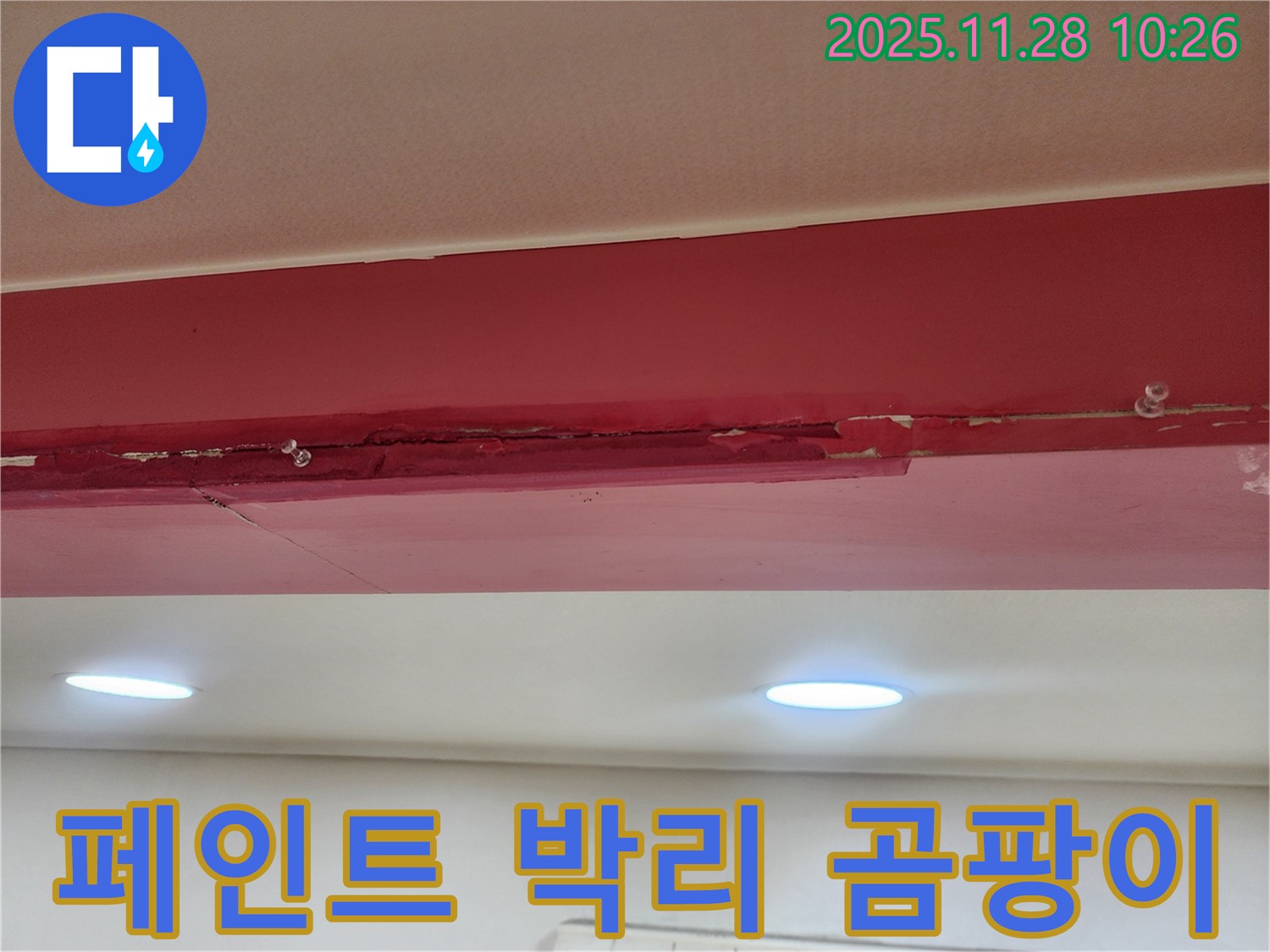 붉은색 천장 페인트 박리 곰팡이 - 누수로 인해 페인트가 떨어져 나가고, 콘크리트 위에 곰팡이가 피어있는 모습입니다.