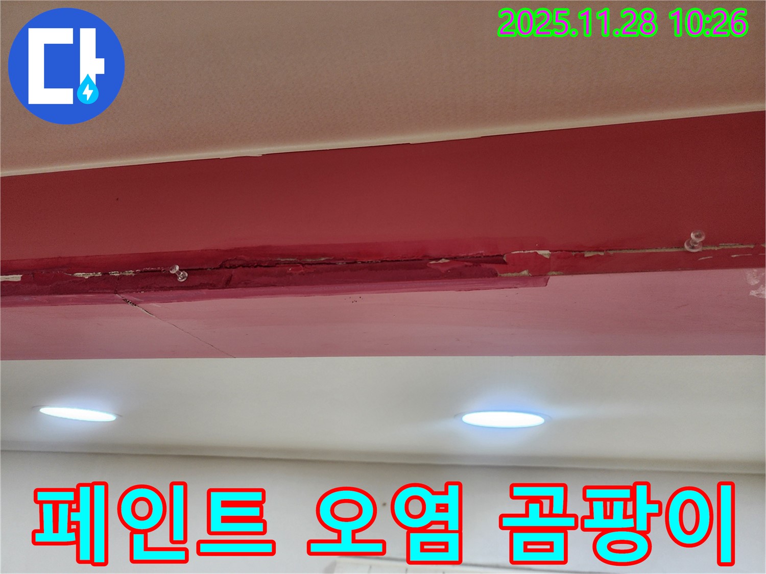 붉은색 천장 페인트 오염 곰팡이 - 누수로 인해 페인트가 곰팡이와 물때로 뒤덮여 실내 공기를 탁하게 만들고 있습니다.