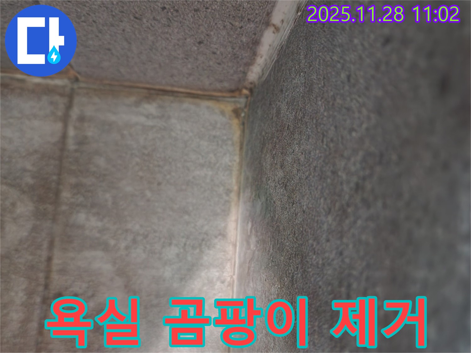 신북면 금동리 욕실 - 곰팡이 제거 및 깨끗한 변신