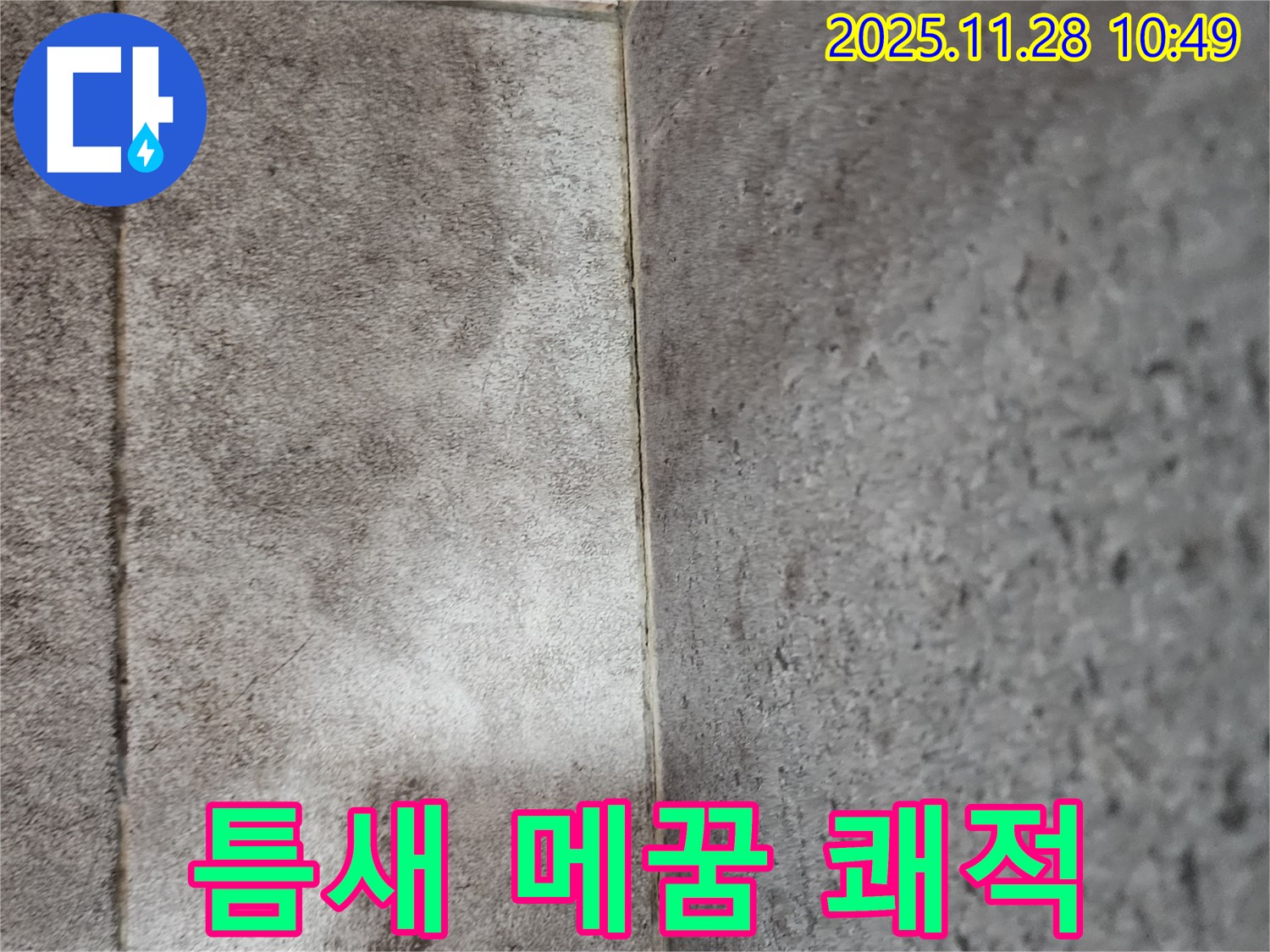 신북면 욕실 곰팡이 누수 - 틈새 메꿈 전문가의 완벽한 시공 후 곰팡이 방지 코팅으로 곰팡이 걱정 없이 오랫동안 쾌적하게 사용!