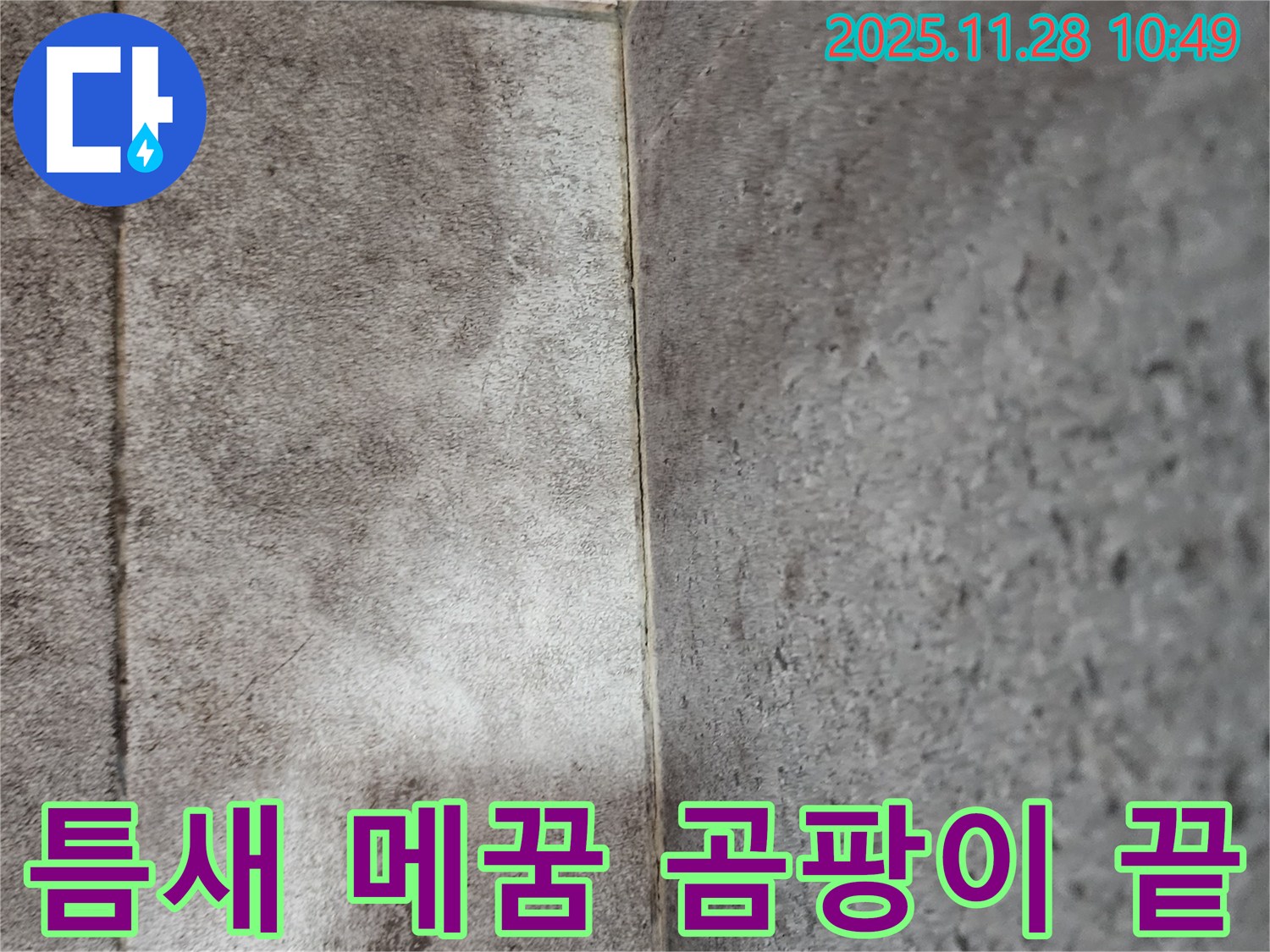신북면 욕실 곰팡이 누수 - 틈새 메꿈 전문가의 완벽한 시공으로 곰팡이 걱정 끝!