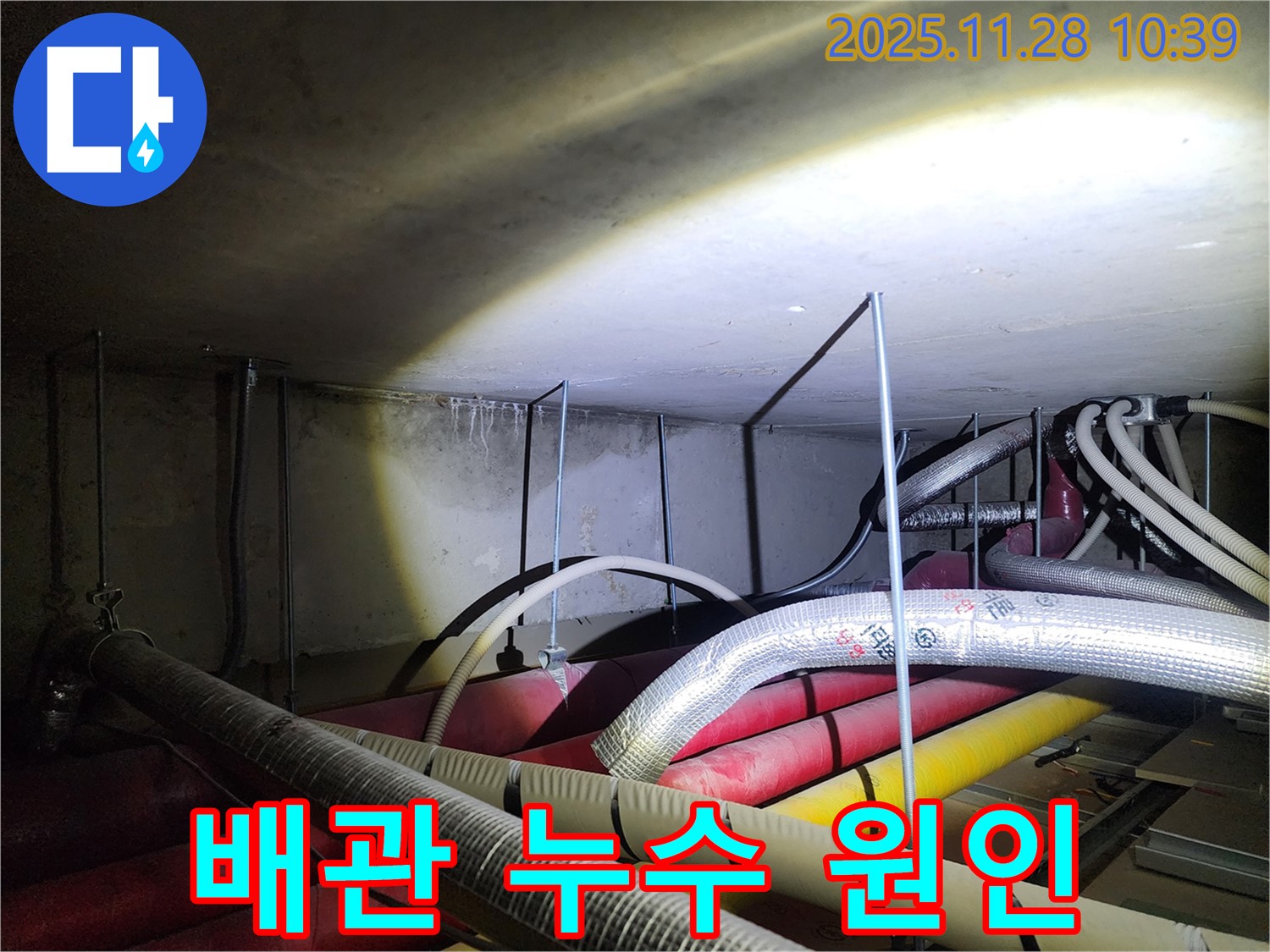 포천 신북면 금동리 누수 현장 - 복잡한 배관 속 숨겨진 누수 원인을 찾기 위한 노력 - 꼼꼼한 점검만이 답입니다.