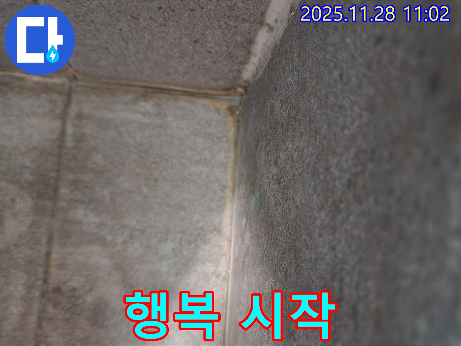 포천 욕실 누수 - 곰팡이와 영원히 작별, 쾌적한 욕실 행복 시작