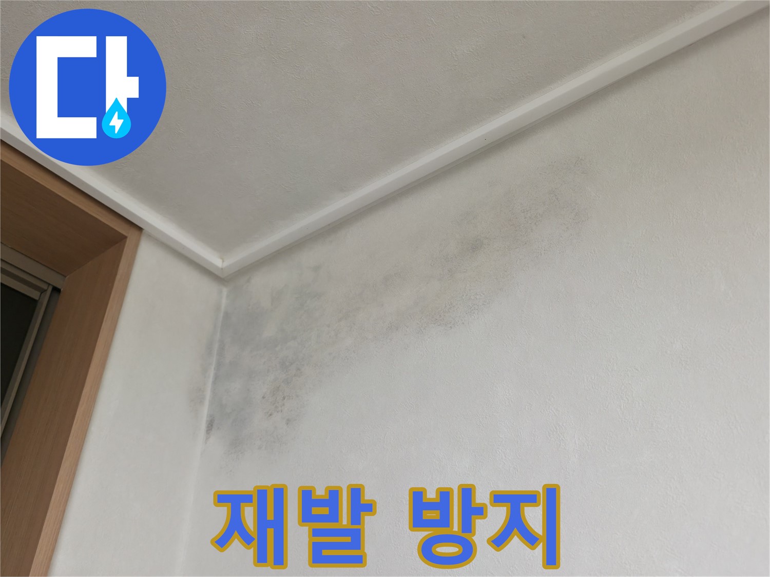 구갈동 누수 - 곰팡이 재발 방지를 위한 꼼꼼한 누수 공사