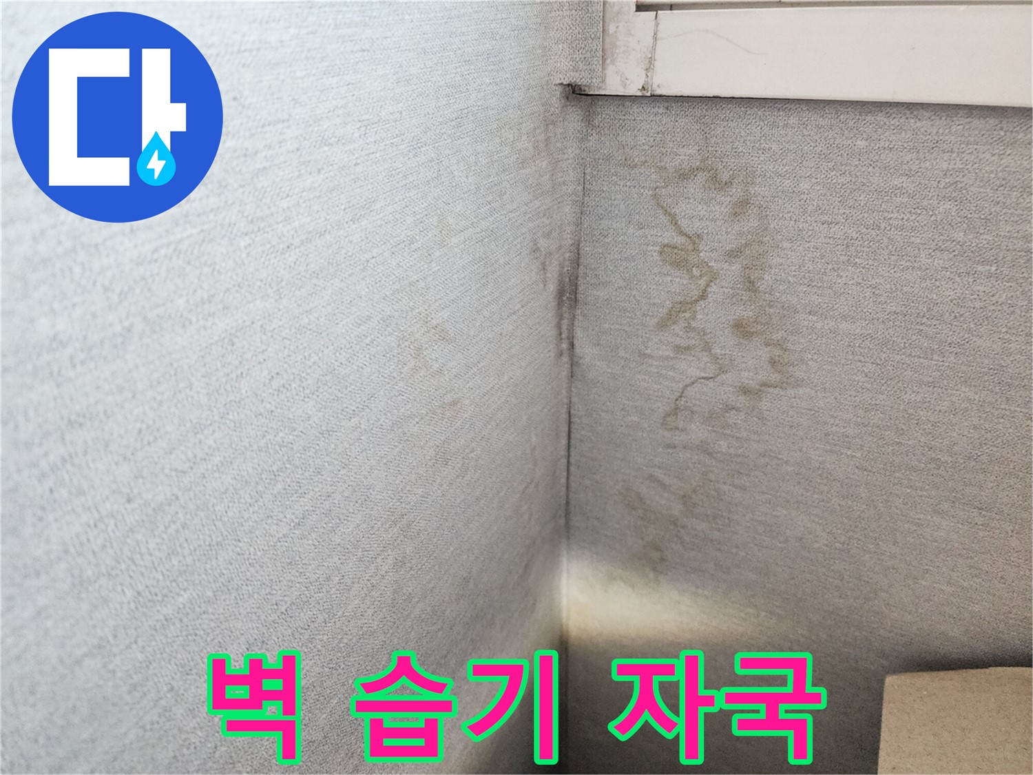 수원 누수, 장안구 삼성아파트 벽면 습기 자국 - 전문적인 누수 진단이 필요한 시점입니다.