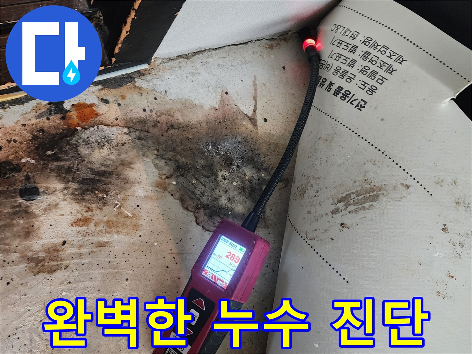 광진구 자양3동 누수탐지 - 곰팡이 핀 벽, 내시경으로 완벽하게 진단