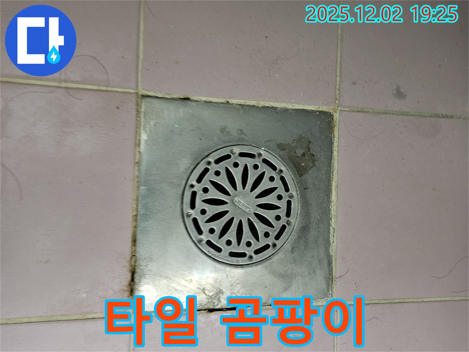 욕실 배수구 주변 타일 사이 곰팡이 - 누수와 관련된 습기로 인해 발생했을 수 있습니다.