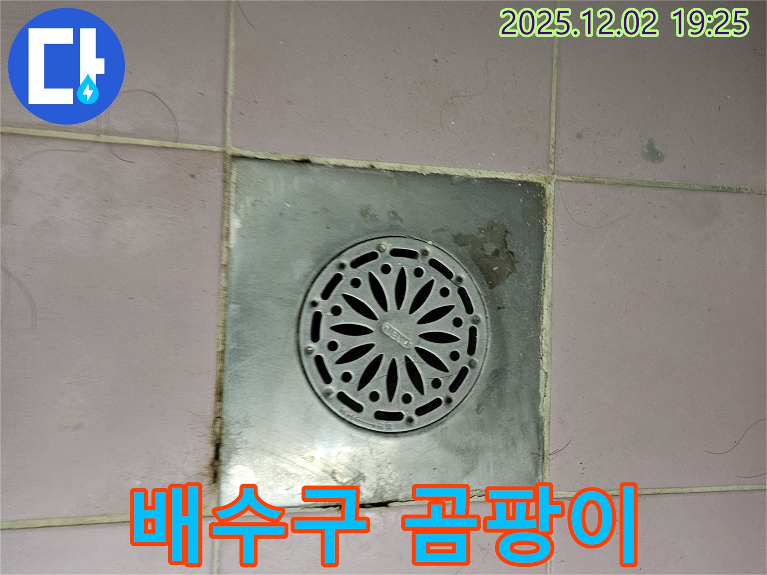 욕실 배수구 주변의 곰팡이 - 누수와 함께 건강까지 위협하는 곰팡이를 보여줍니다.