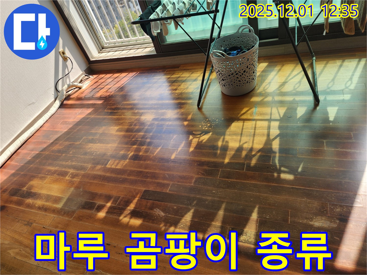 포천 이동면 도평리 주택 - 누수로 인한 마루 곰팡이 종류 확인 및 분석, 누수탐지 전문가가 꼼꼼하게 분석합니다.