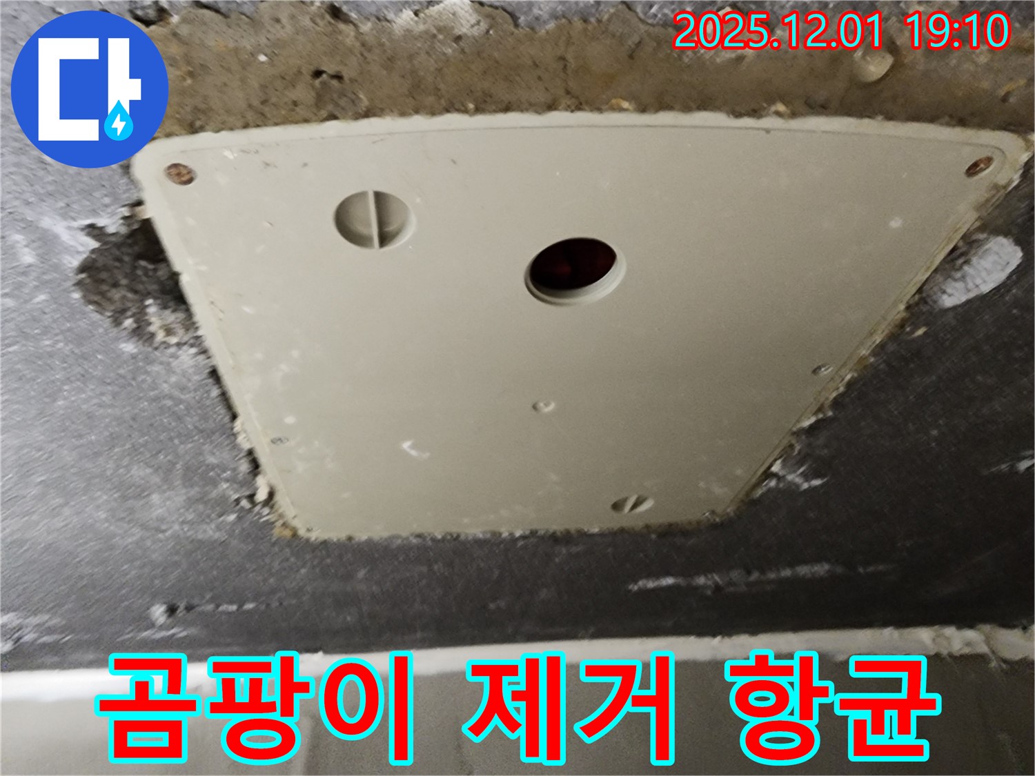 포천 이동면 누수 - 천장 점검구 누수, 덮개 주변 곰팡이 제거 및 항균 처리로 깨끗하게