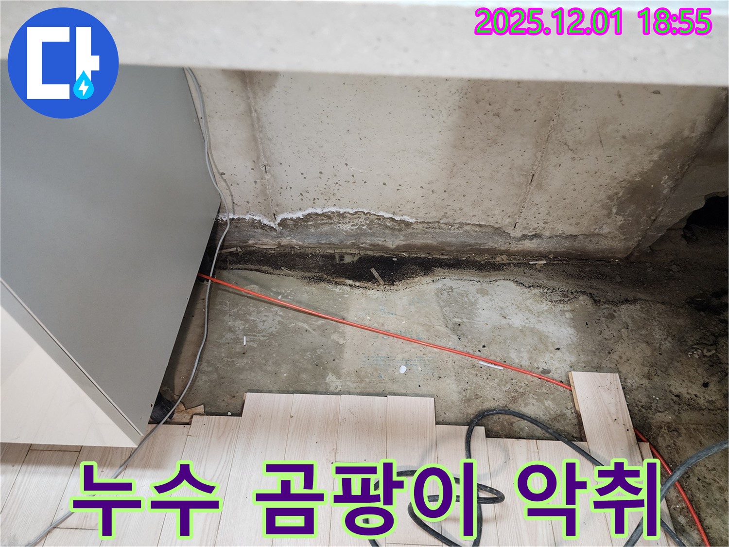 포천 이동면 연곡리 싱크대 누수 - 곰팡이 악취 발생, 긴급 해결