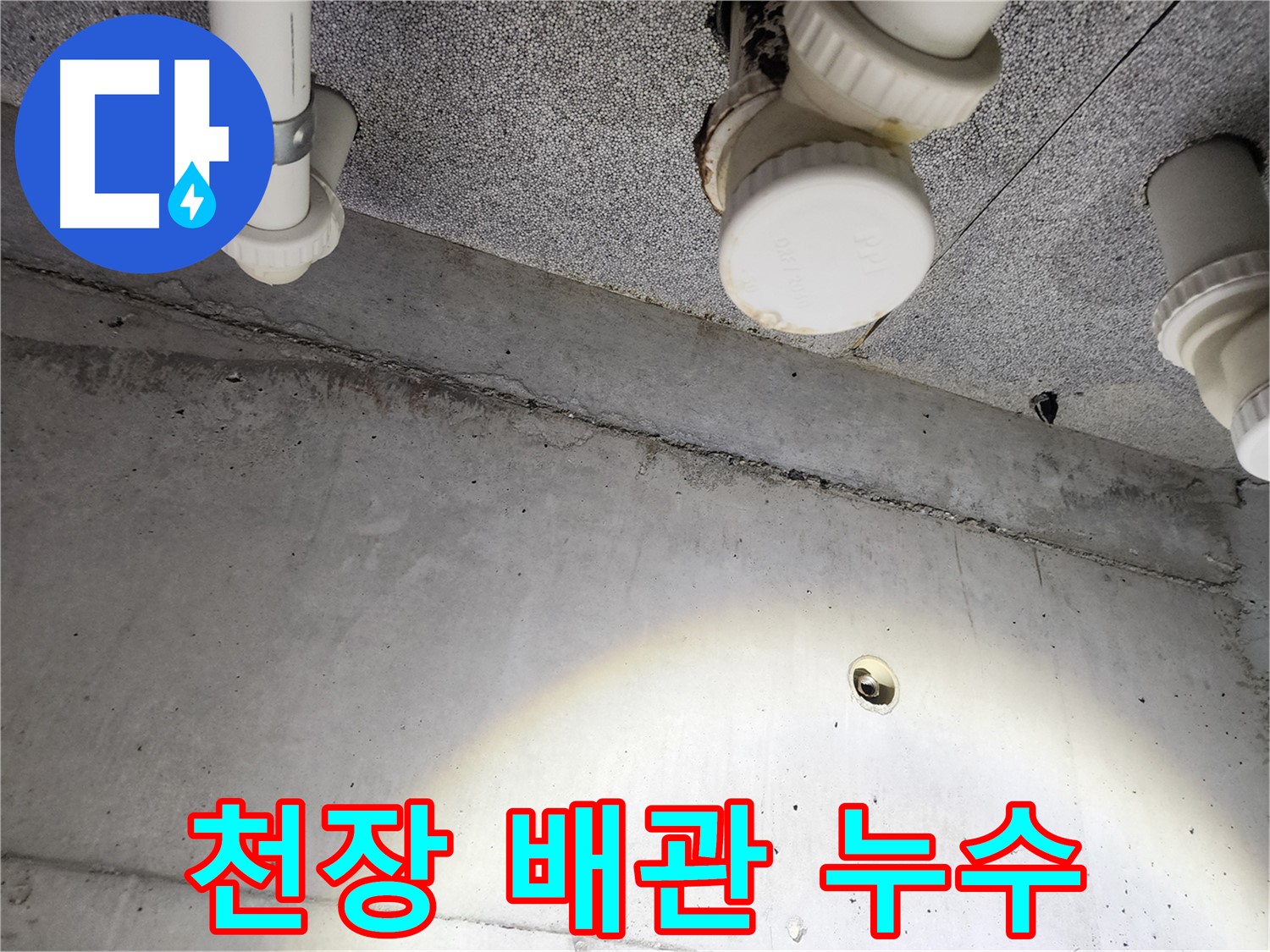 고객 만족을 최우선으로 생각합니다 - 최고의 서비스를 약속드립니다.