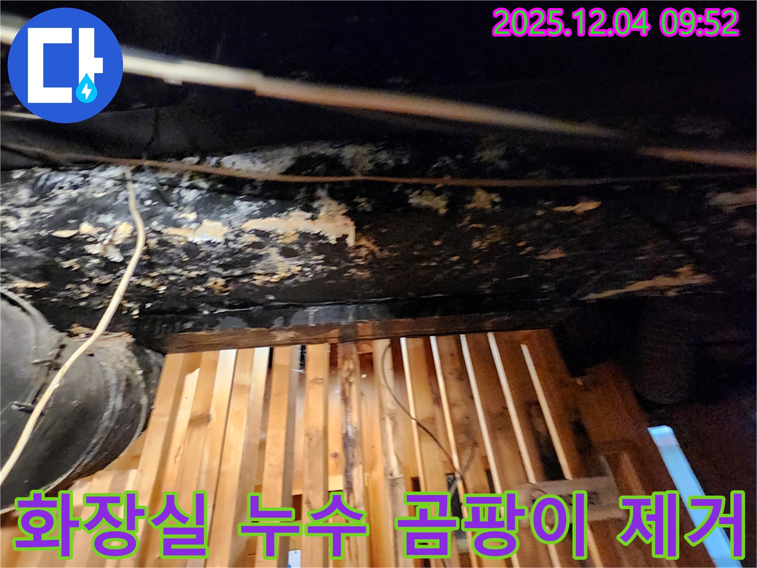 마조로 건물 화장실 누수 - 곰팡이 완벽 제거! 쾌적한 공간으로 변신 완료