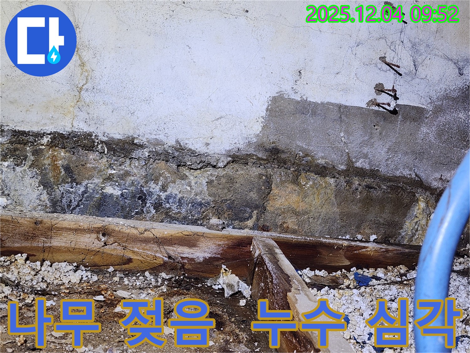 성동구 마장동 낡은 주택 누수 - 나무 구조재까지 젖어 있는 심각한 누수 피해