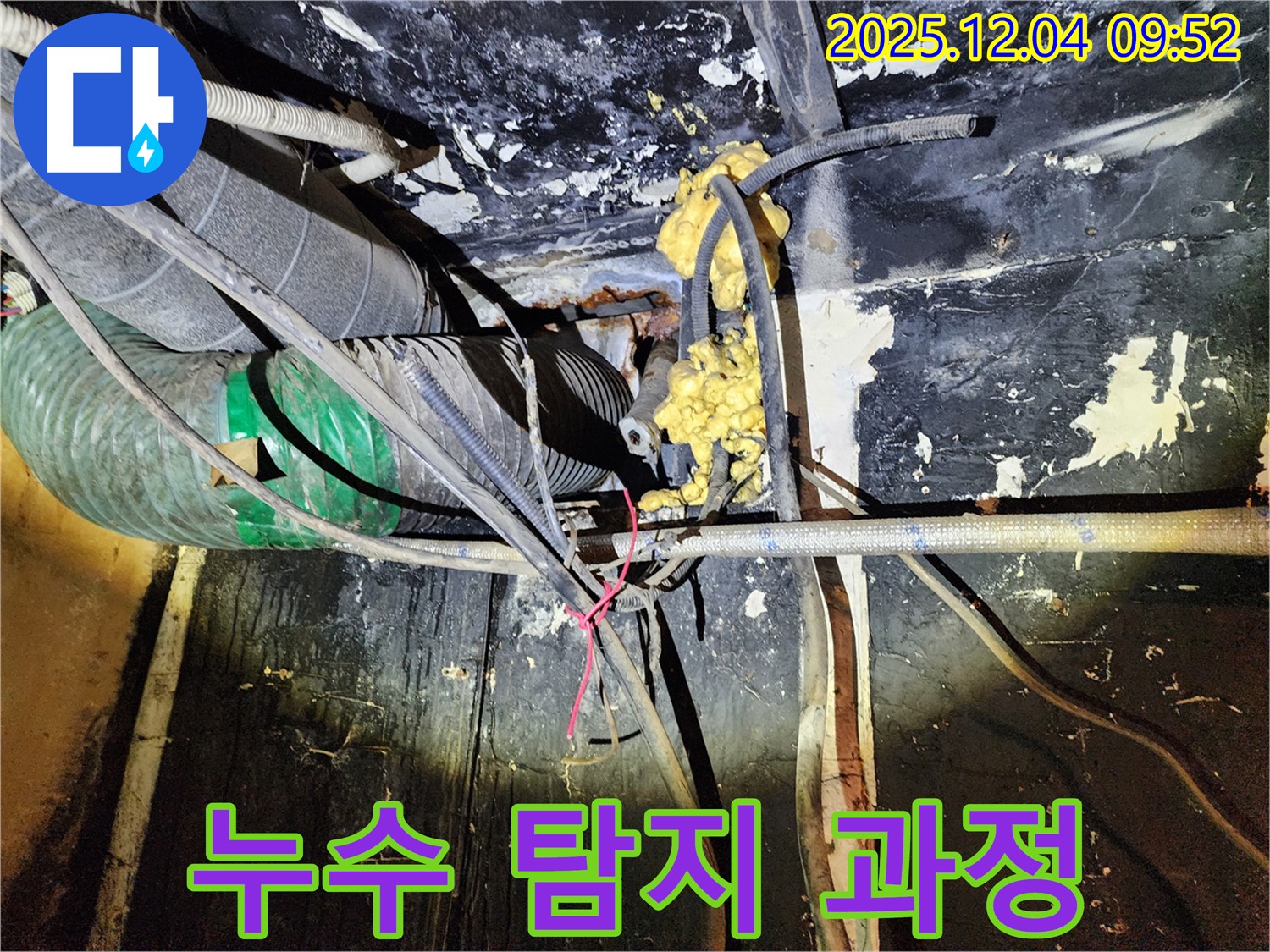 성동구 마장동 누수 현장 - 누수 탐지 장비를 사용하여 꼼꼼하게 탐지하는 모습입니다.