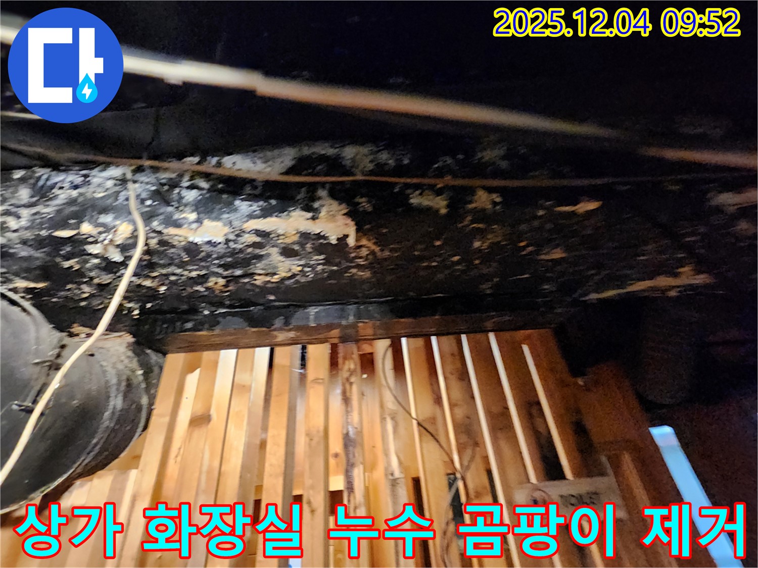 송정동 낡은 상가 화장실 누수 - 곰팡이 완벽 제거! 쾌적한 공간으로 변신 완료