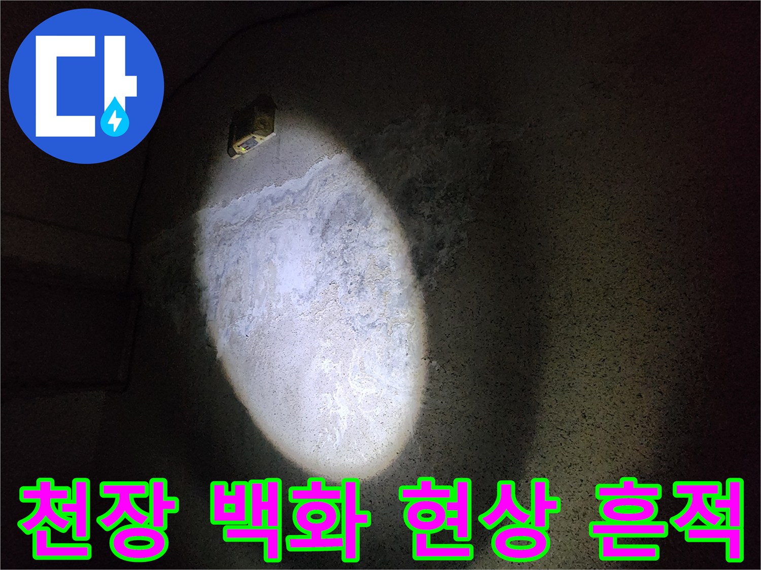 어두운 공간 내 콘크리트 천장에 발생한 하얀색 백화 현상과 습기 얼룩