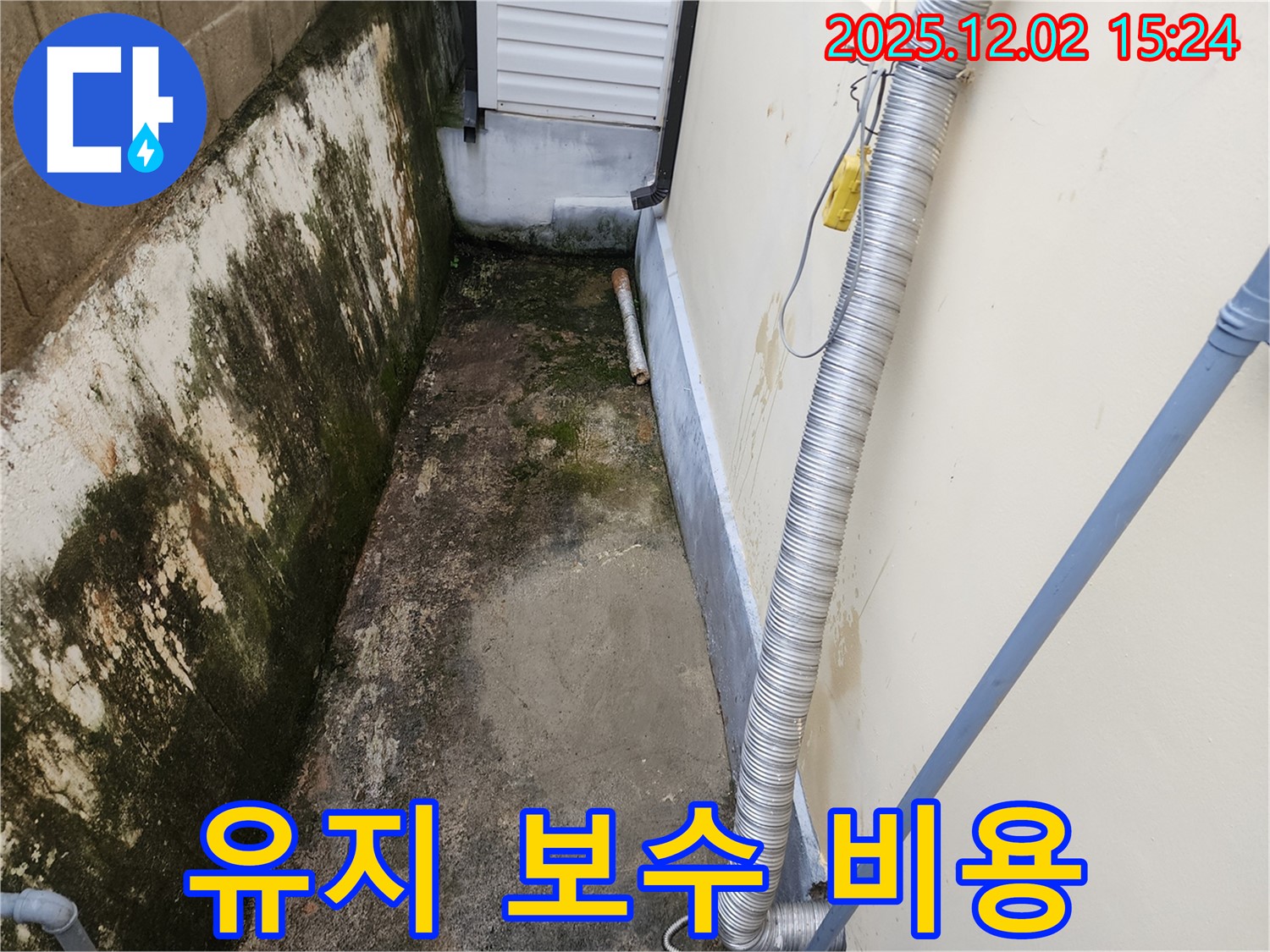 유지 보수 비용 증가 - 곰팡이와 물방울은 유지 보수 비용을 증가시킵니다.