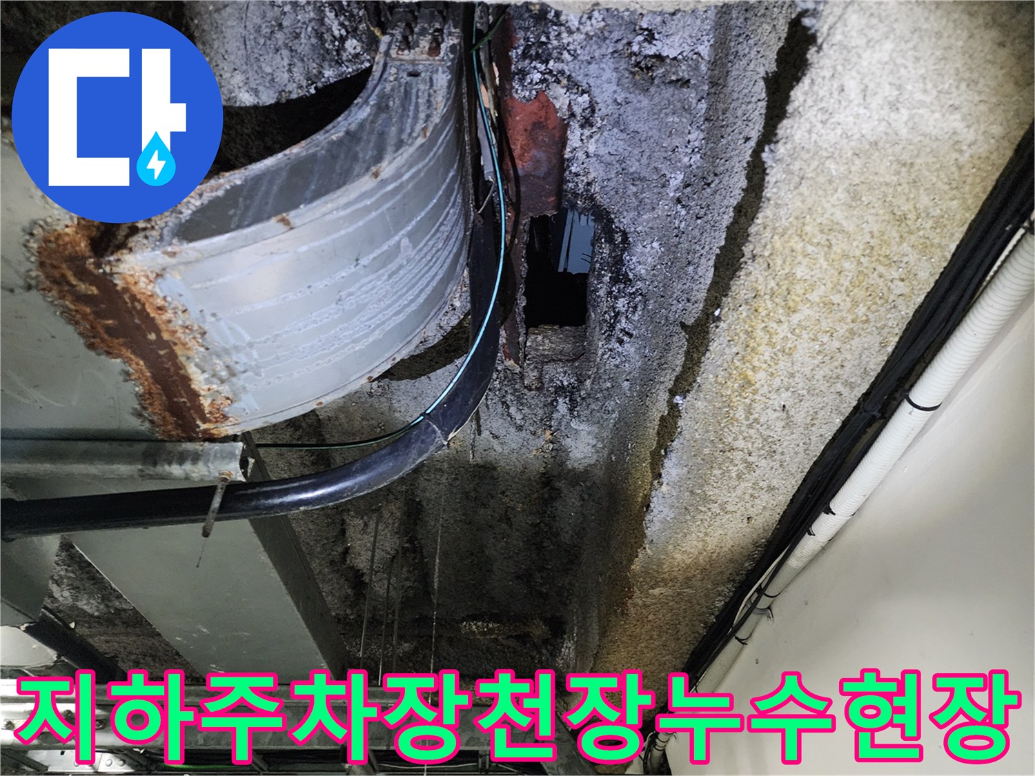 지하 주차장 천장 슬래브의 백화 현상과 젖어 있는 배관 상태
