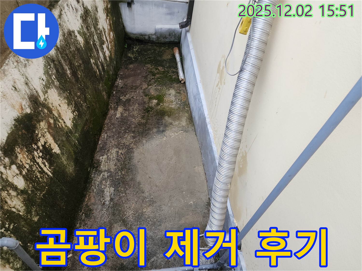 포천시 일동면 좁은 공간 곰팡이 제거 - 습기 문제 해결로 쾌적한 환경!