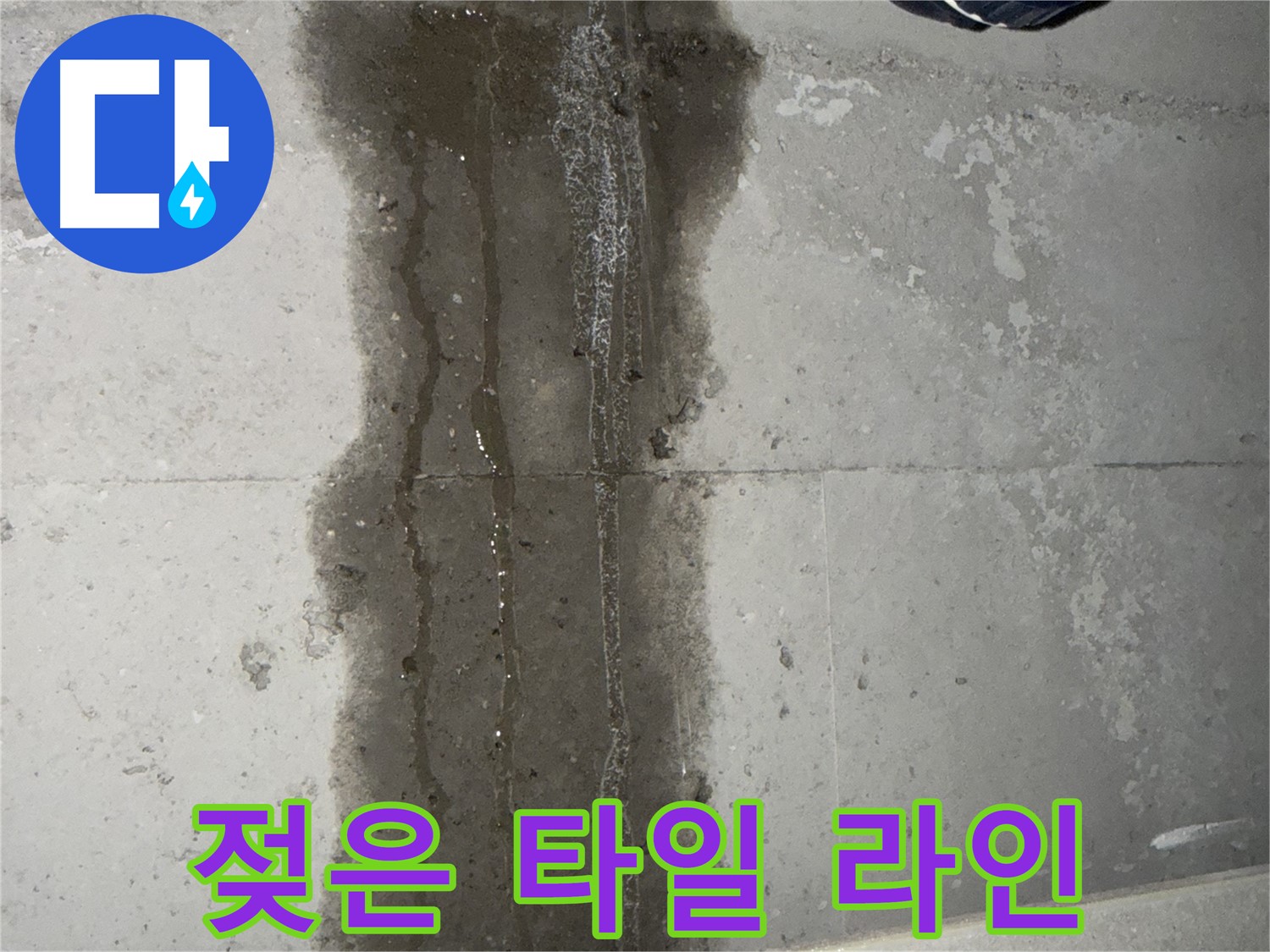 동두천 지행동 동양엔파트 아파트 - 젖은 타일 라인 따라 누수 발생