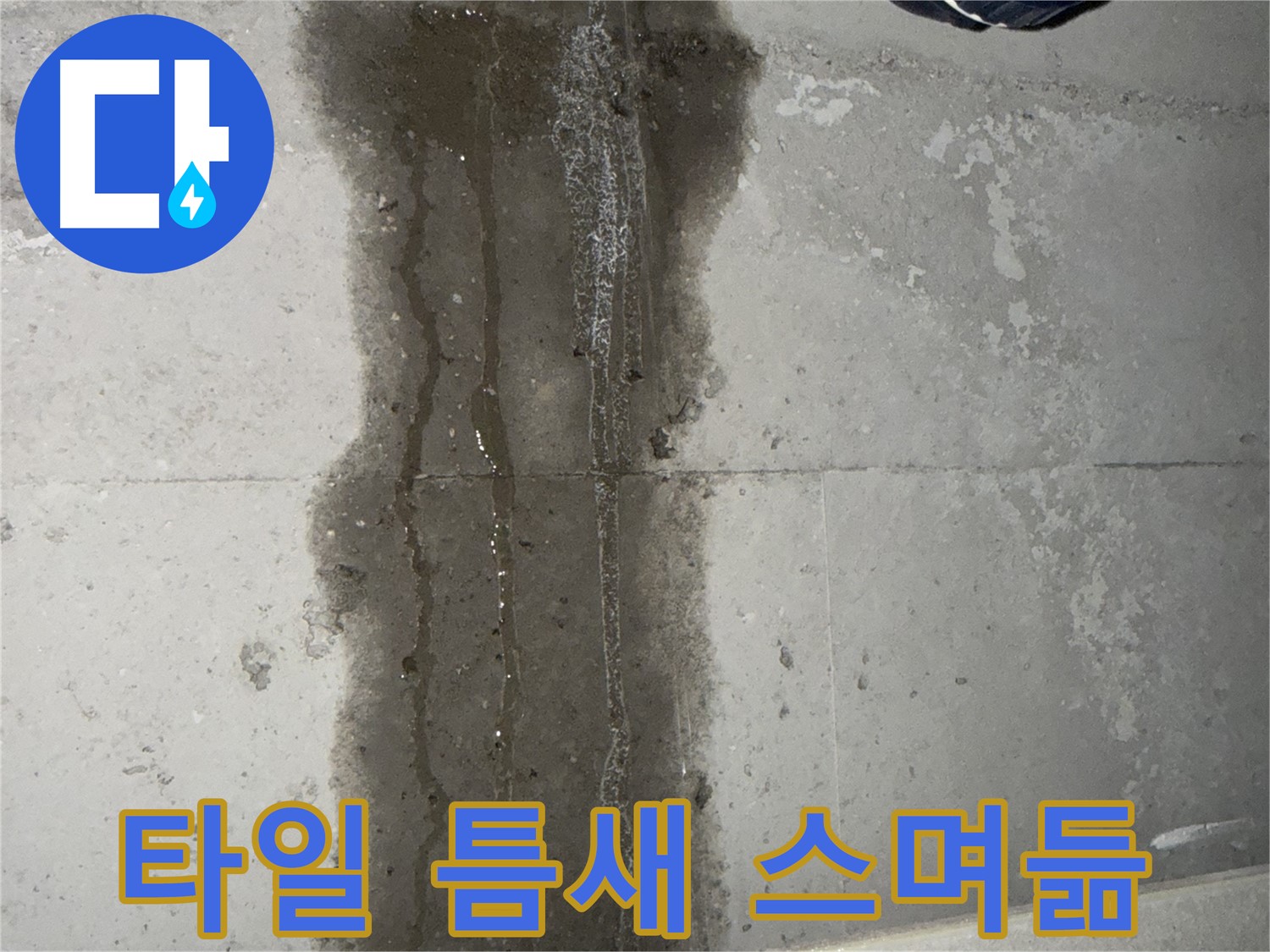 동두천 지행동 아파트 누수 - 타일 틈새로 물이 스며드는 모습