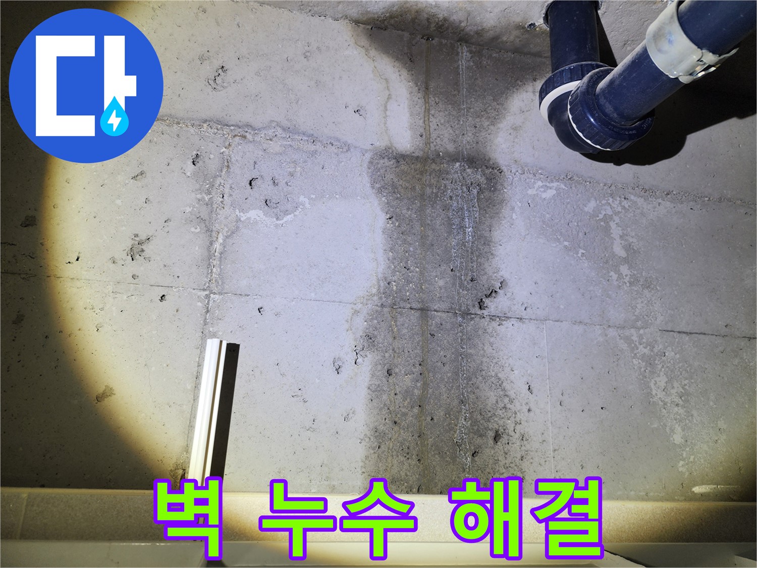 첨단 장비로 콘크리트 벽 누수 진단 - 정확한 원인을 파악합니다.