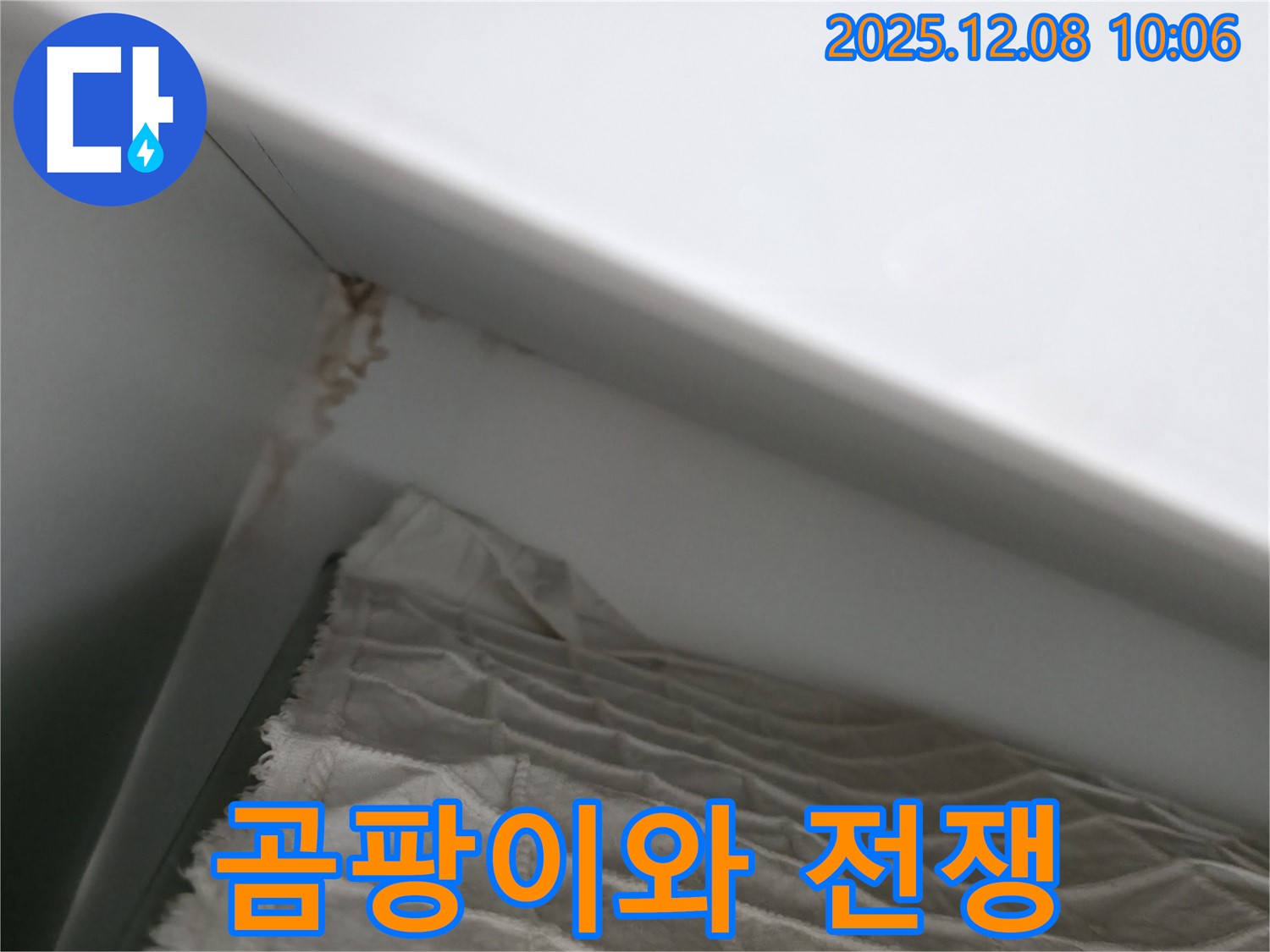 마포구 중동 건영 월드컵 아파트 누수 - 곰팡이 발생, 이제 누수와의 전쟁 시작
