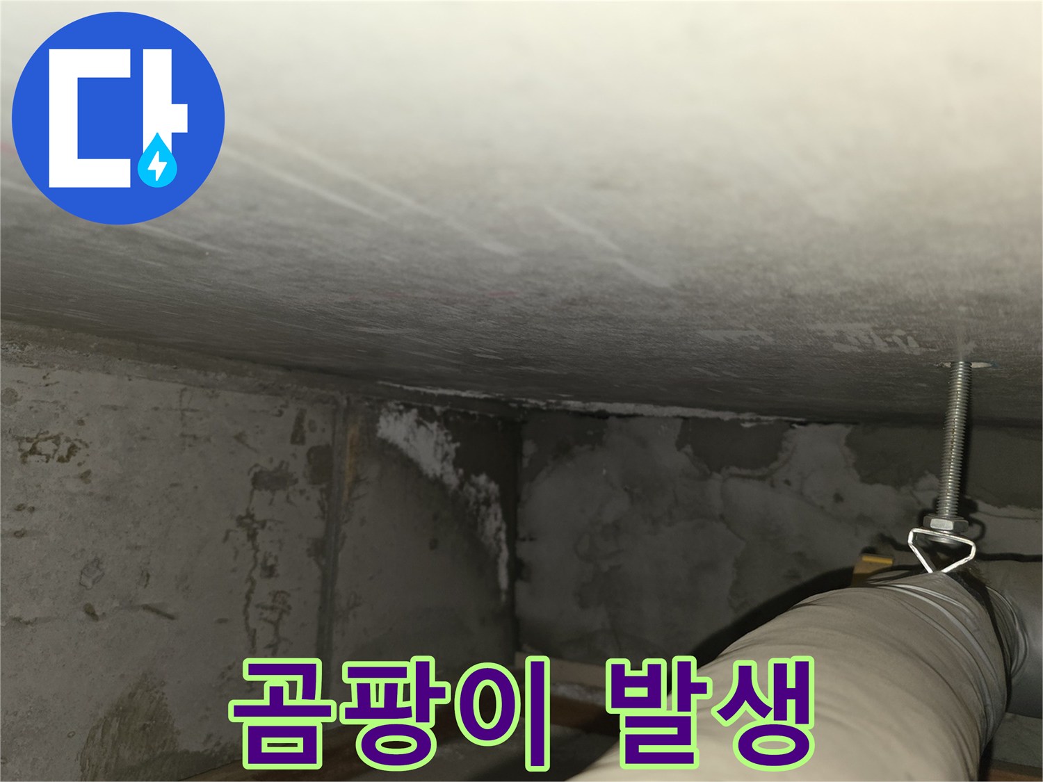 마포구 중동 건영월드컵아파트 누수 - 곰팡이 발생 상태 상세 촬영