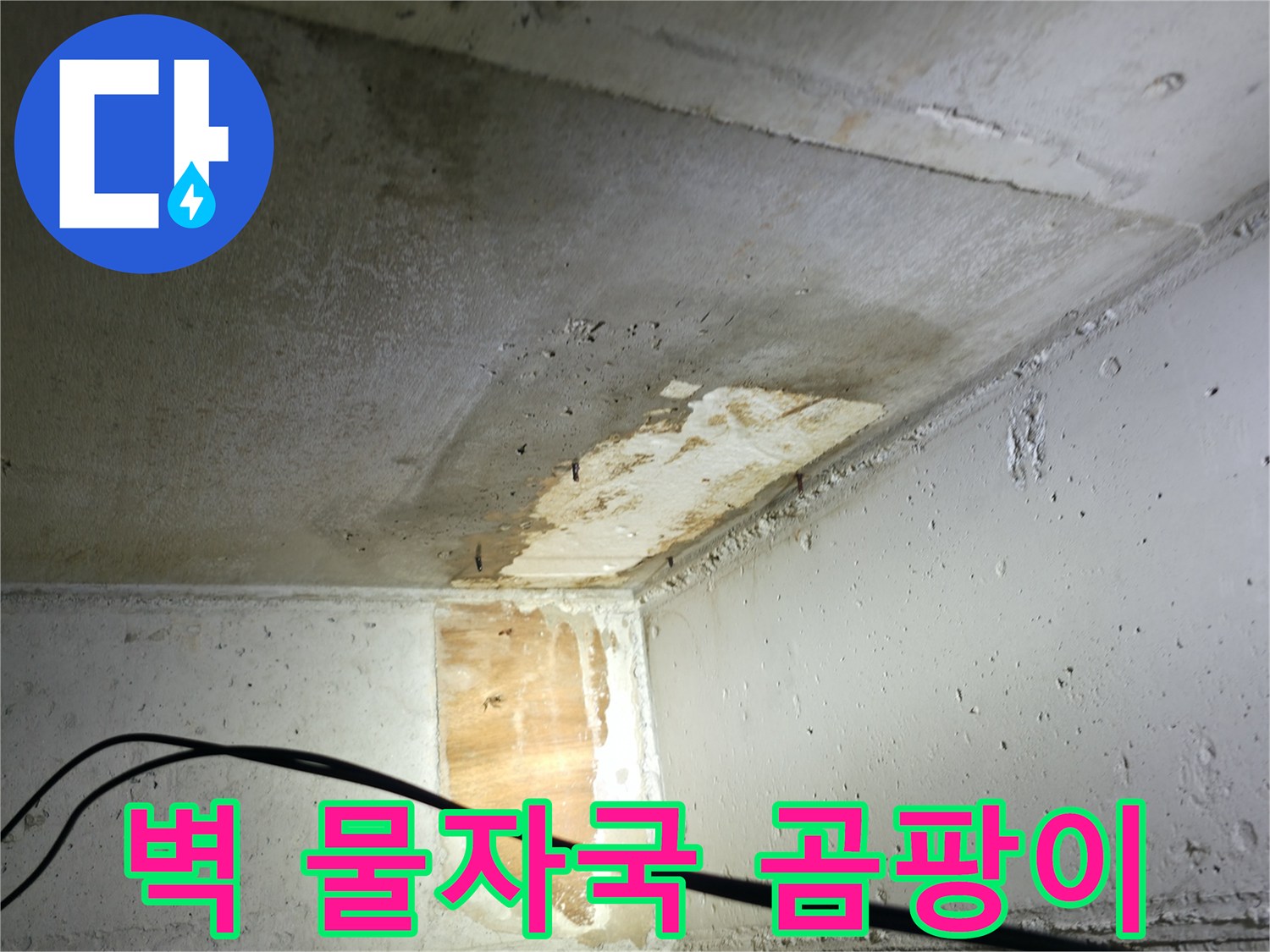 의왕시 능안길 백운그린힐 아파트 누수 - 벽에 생긴 물자국과 곰팡이